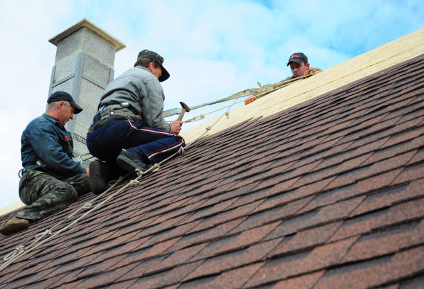 Gutter Installation and Roofing in Prospect, KY